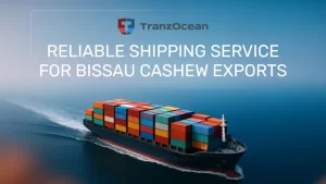 Efficient Container Vessel Operations for Raw Cashew Exports from Bissau to India