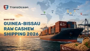 Book Your Guinea-Bissau to India & Vietnam Raw Cashew Cargo Space for 2026