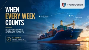 When Every Week Counts: How Guinea-Bissau’s Cashew Exporters Can Beat the Clock with Smarter Shipping