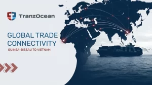 How TranzOcean Solves Guinea-Bissau to Vietnam Cashew Export Challenges with Container Vessel Operations