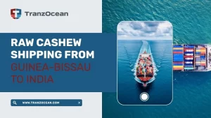 Raw Cashew Shipping from Guinea-Bissau to India: Complete Logistics Guide for Importers