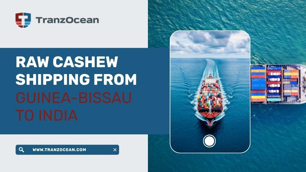 Raw Cashew Shipping from Guinea-Bissau to India: Complete Logistics Guide for Importers
