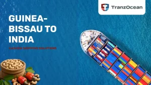How Guinea-Bissau Connects to India’s Cashew Processing Hubs