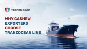 Your Cashew Cargo Deserves a Vessel That Won’t Let You Down — Here’s Why Exporters Are Switching to TranzOcean