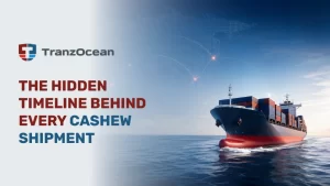 The Hidden Timeline Behind Every Cashew Shipment: Why Booking Early Changes Everything