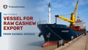 How to Find a Vessel for Raw Cashew Export from Guinea-Bissau: The Complete Exporter’s Guide