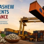Plan Cashew Shipments in Advance