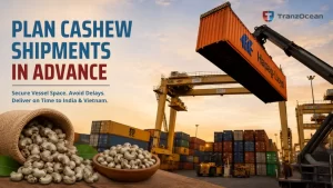 Peak Season, Peak Pressure: How Smart Exporters Plan Their Cashew Shipments Months in Advance