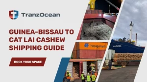 Guinea-Bissau to Cat Lai — Everything Vietnam’s Cashew Factories Need to Know About Shipping