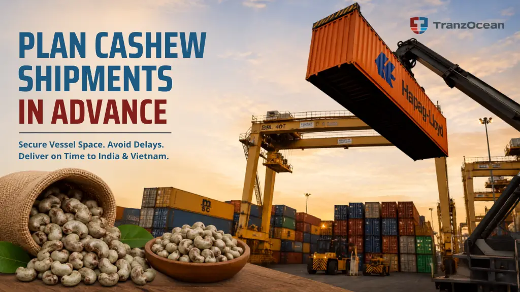 Peak Season, Peak Pressure: How Smart Exporters Plan Their Cashew Shipments Months in Advance