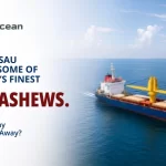 Guinea-Bissau Cashew Exports