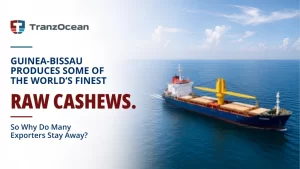 Why Reliable Shipping Matters for Guinea-Bissau Cashew Exports
