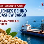 Guinea-Bissau Cashew