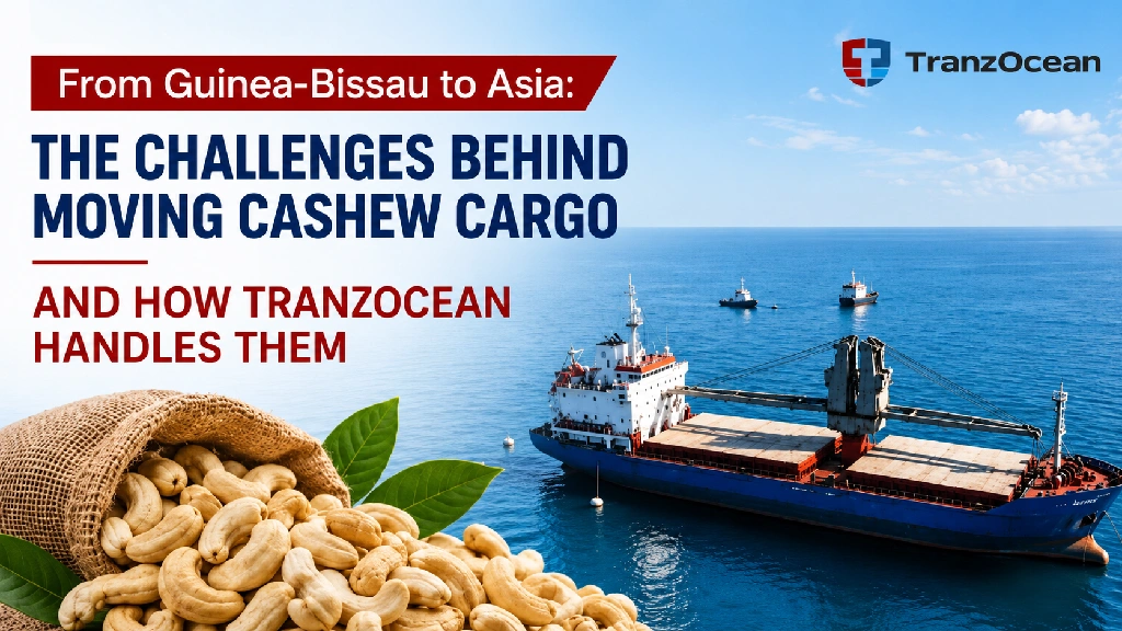 From Guinea-Bissau to Asia: The Challenges Behind Moving Cashew Cargo and How TranzOcean Handles Them